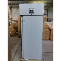 Морозильный шкаф Gooder GN-650BT