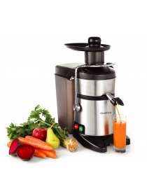 Соковыжималка для твердых овощей и фруктов GoodFood FJ200